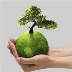 كمية محدودة من البلاستيك لمدة 10 سنوات، ولا تزال المشاكل القديمة موجودة، وقد جلب الشكل الجديد تحديات جديدة - هل تطلبون الوجبات الجاهزة بشكل صديق للبيئة؟