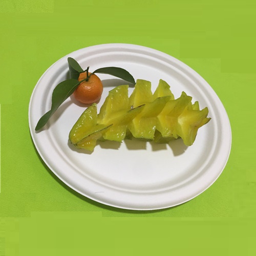 أدوات مائدة صديقة للبيئة