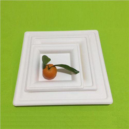 عرض تحديث Bio Plate الجديد في نهاية عام 2019