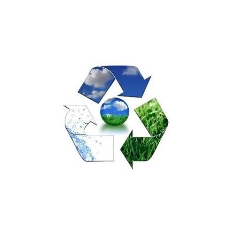 تتحرك ولاية كوينزلاند لحظر المصاصات والأطباق البلاستيكية ذات الاستخدام الواحد في محاولة لإنقاذ الحياة البحرية