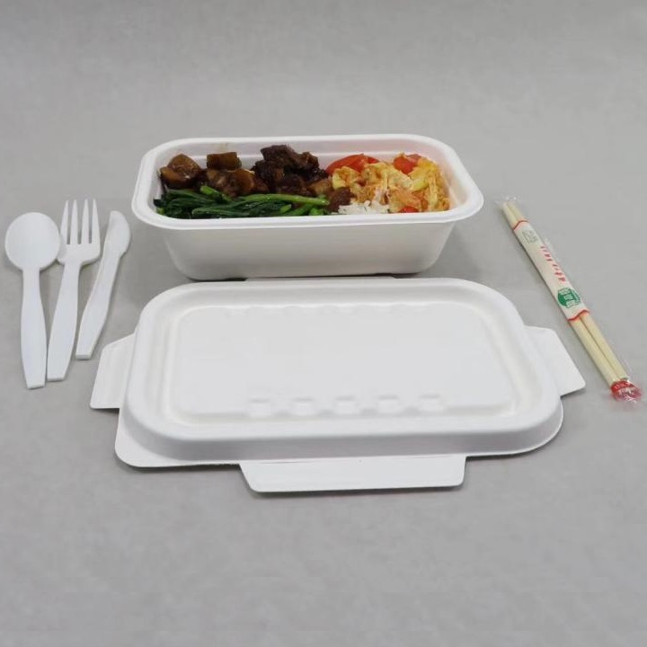 مؤتمر مشاركة حالة أدوات المائدة من قصب السكر الخاص بشركة Shenglin Packaging